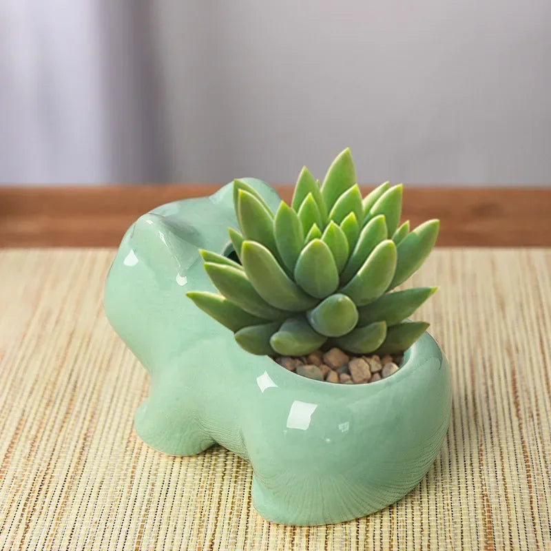 Ceramic Mini Succulent Planter