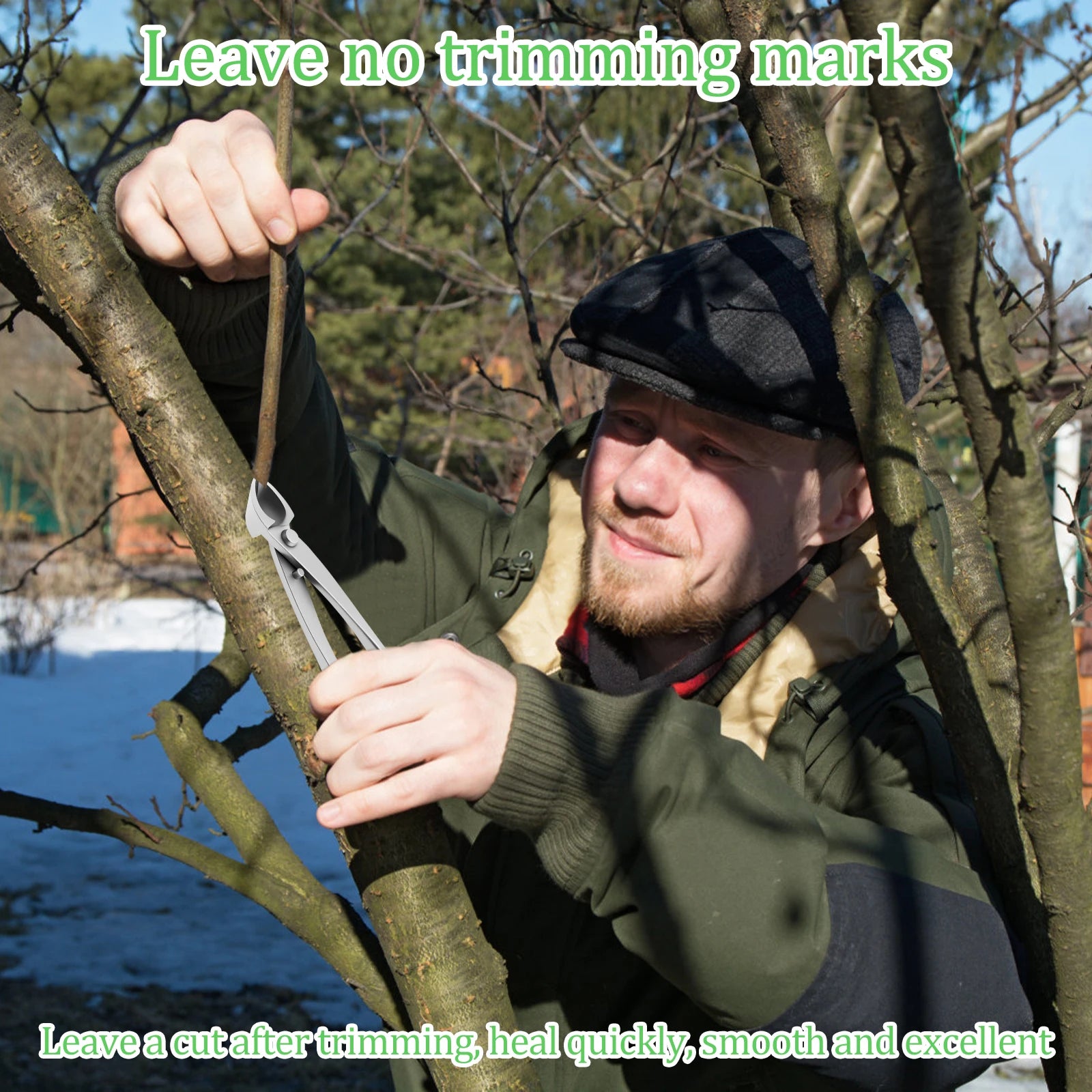 Bonsai Pruning Scissors